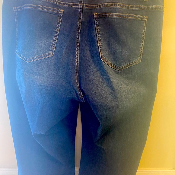 Earl Jeans. Gold Metallic Trim. Ankle Jean. Plus Size - Picture 2 of 6